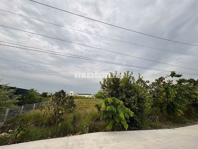 Chính chủ bán 4 lô đất vườn liền kề (2 mặt tiền trước sau), hẻm xe hơi