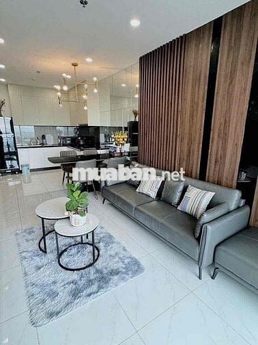 cho thuê căn hộ Csky view 2pn full nội thất