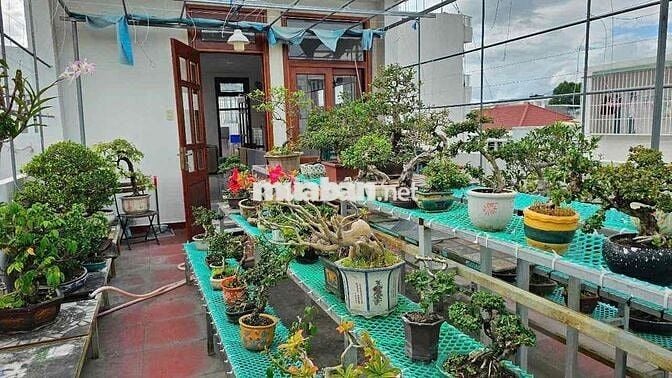 Bán Nhà 3 Đẹp Tầng Đường Hồ Xuân Hương Phước Hoà Nha Trang