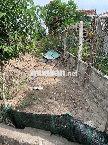 BÁN ĐẤT VĨNH ĐIỀM THƯỢNG -138.9M2-SỔ MƠI-GIÁ CHỈ 19TR/1M2