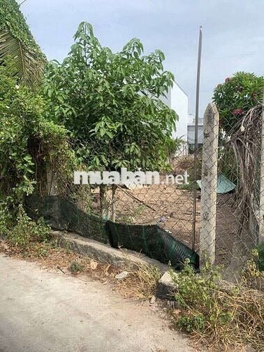 BÁN ĐẤT VĨNH ĐIỀM THƯỢNG -138.9M2-SỔ MƠI-GIÁ CHỈ 19TR/1M2