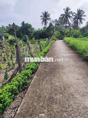 Nhà mới và đất thổ cư, mặt tiền ôtô thoải mái, gần tiện ích,dân đông