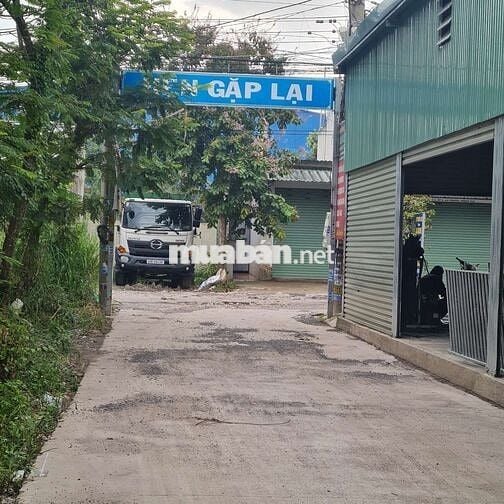 1/ LÔ HỔ ĐƯỜNG CÂY XĂNG DUY PHƯƠNG, ẤP 8 AN PHƯỚC LONG THÀNH