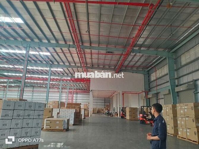 Cho thuê Kho KV: 5.000m2 Bình Tân, đường container, giá 100K/m2