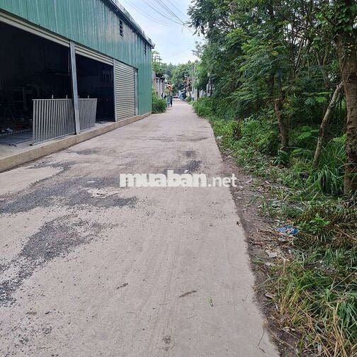 1/ LÔ HỔ ĐƯỜNG CÂY XĂNG DUY PHƯƠNG, ẤP 8 AN PHƯỚC LONG THÀNH