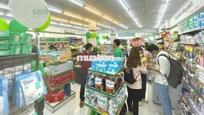 Mặt Tiền Lê Văn Thọ , Q. Gò Vấp - 9x30 - Trệt - Giá 52 Triệu