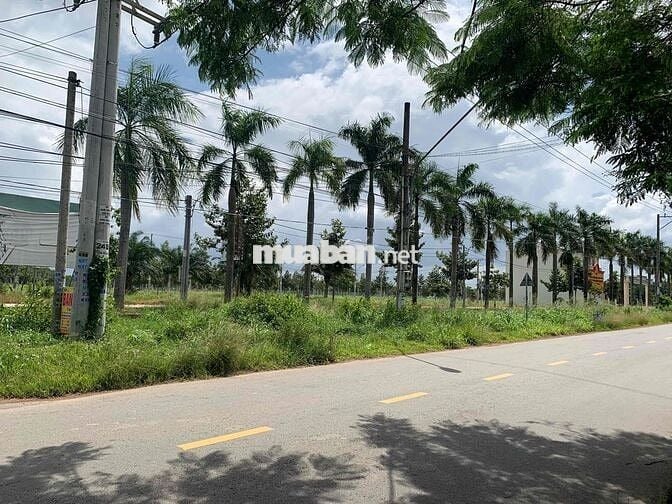 🌟 CHÍNH CHỦ BÁN 3 LÔ ĐẤT CLN – XÃ LONG NGUYÊN, BÀU BÀNG 🌟