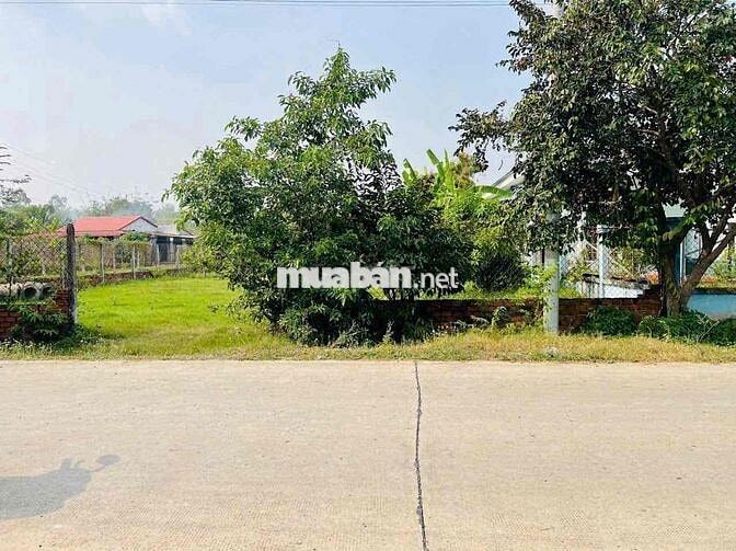 (37)💼 BÁN GẤP LÔ ĐẤT 460M² – ĐƯỜNG NGUYỄN THỊ CHUỖI, ẤP MÂY ĐẮNG, PHƯỚ