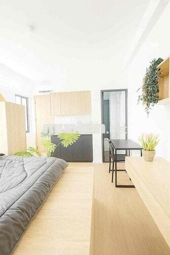 Khai Trương Căn Studio/ban công/cửa sổ gần Khu công nghiệp Tân Bình