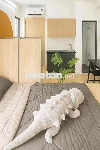 Khai Trương Căn Studio/ban công/cửa sổ gần Khu công nghiệp Tân Bình