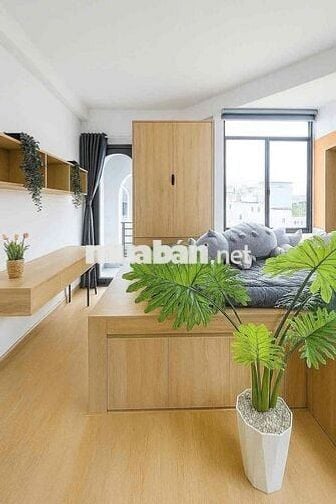 Khai Trương Căn Studio/ban công/cửa sổ gần Khu công nghiệp Tân Bình