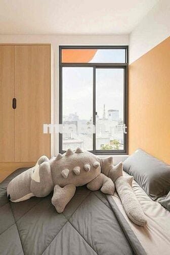 Khai Trương Căn Studio/ban công/cửa sổ gần Khu công nghiệp Tân Bình