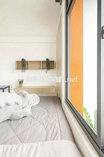 Khai Trương Căn Studio/ban công/cửa sổ gần Khu công nghiệp Tân Bình