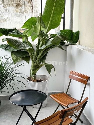 Bán nhà đường Vĩnh Viễn Q.10 - 3m x 12m - giá 5,9 tỷ