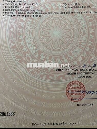 Bán lô 101m sát dự án Hoàng Huy giá cực sốc chỉ 3,1x tỷ.