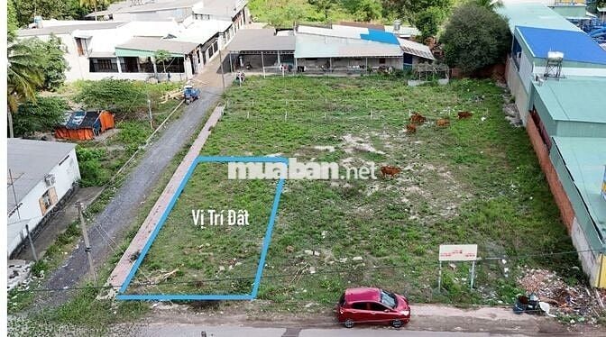 CHÍNH CHỦ BÁN ĐẤT NỀN - XÃ AN PHƯỚC, HUYỆN LONG THÀNH, TỈNH ĐỒNG NAI