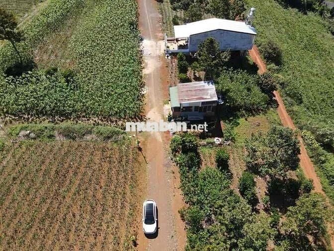 Hai nền đất tại phường 2 Bảo Lộc 200m2 sổ hồng sẵn 9 chủ sang tên ngay