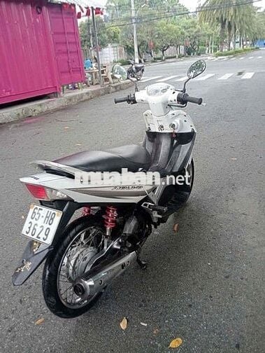 Cọp No2