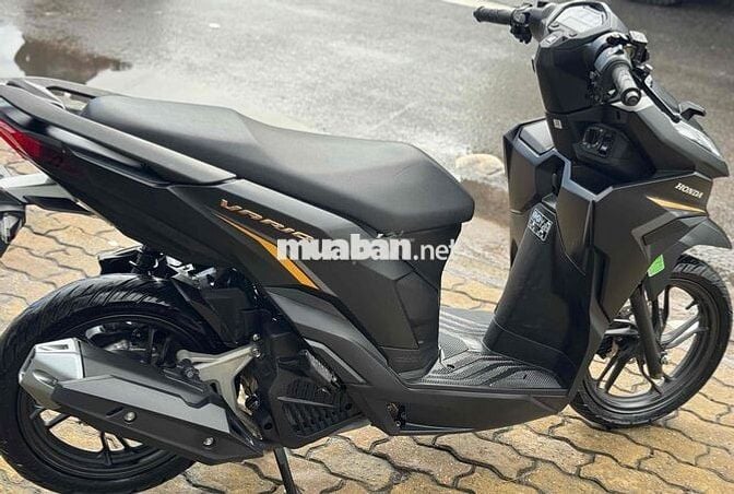 Vario 2024