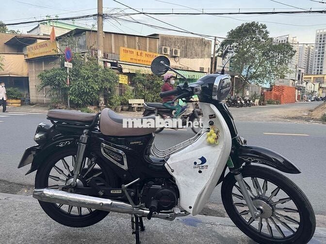 cúp 50cc