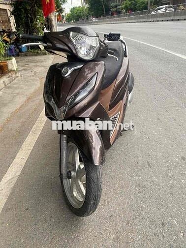 Xe shark đời cao êm đẹp như hình