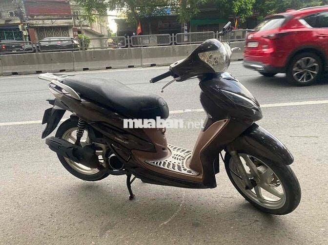 Xe shark đời cao êm đẹp như hình