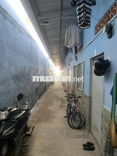CHO THUÊ NHÀ TRỌ GIÁ SINH VIÊN TAM PHÚ, THỦ ĐỨC.