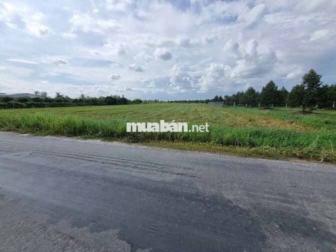 1,3 mẫu ngay khu đô thị, đường nhựa. KCN 3200ha. 9 tỷ