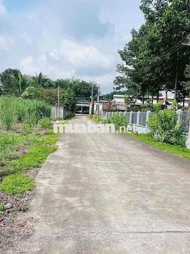 Chị 8 bán nhanh lô đất 250m2+100tc đối diện UBNN An Linh đi vào 200m