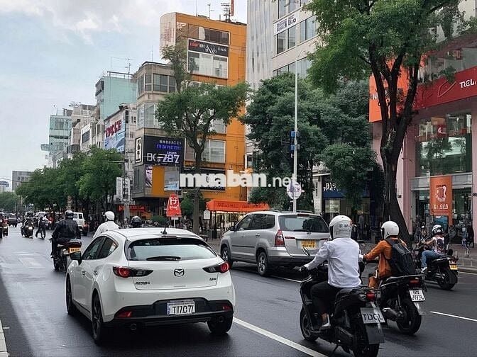 Cho Thuê Nhà Mặt Tiền Chính Chủ, Điện Biên Phủ, Quận 10
