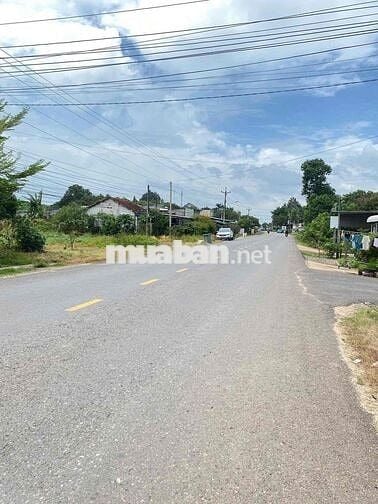 Chú 6 bán gấp loi đất ngay UBNN An Linh Phú Giáo giá 480tr buông sổ