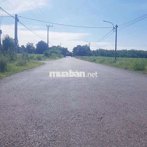 Bán đất đường nhựa trục chính sông xoài hắc dịch,dt:28x105 giá 5.2ty