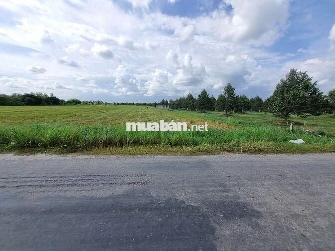 1,3 mẫu ngay khu đô thị, đường nhựa. KCN 3200ha. 9 tỷ