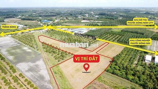 1,3 mẫu ngay khu đô thị, đường nhựa. KCN 3200ha. 9 tỷ
