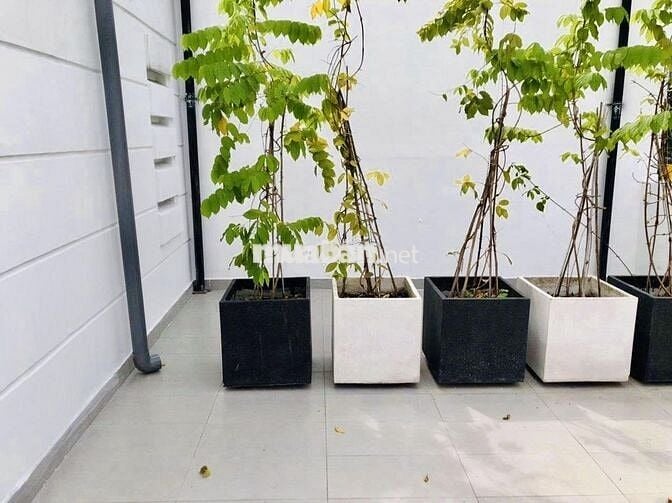 🏢 NGANG 14M GẦN KHU HÀ ĐÔ MẶT TIỀN KHU TRUNG TÂM QUẬN 10 🏢