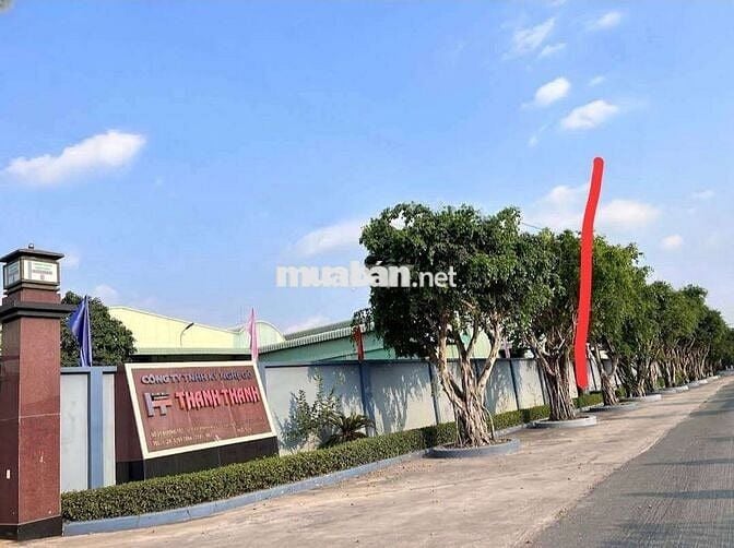 Bán đất 2 mặt tiền 198m2  xã Thái Mỹ