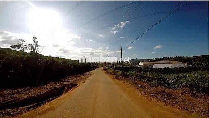 Lô đất 1023m2 có 150m thổ cư tại phường 3,Bảo Lộc. Sổ hồng riêng 9chủ.