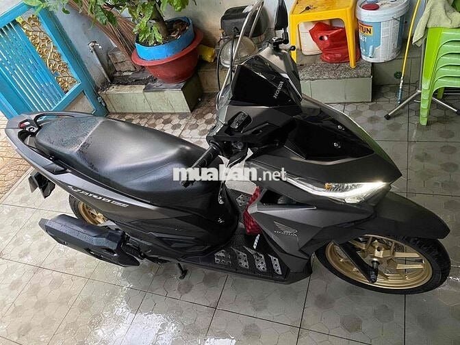 vario 2017
