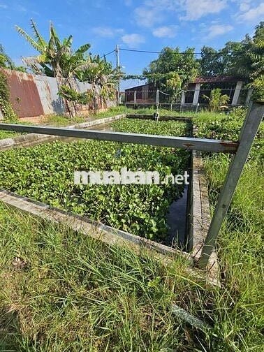 Đất sổ đỏ chính chủ 660m2 đường Kênh Cây Xanh, Bình Mỹ, H. Củ Chi