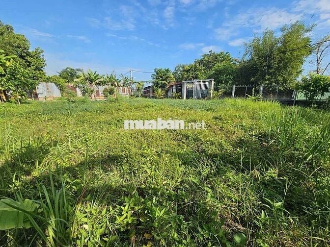 Đất sổ đỏ chính chủ 660m2 đường Kênh Cây Xanh, Bình Mỹ, H. Củ Chi