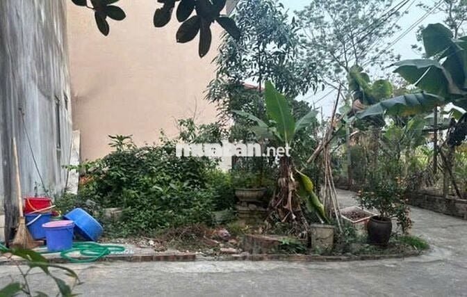 🌿 MẢNH ĐẤT VIEW HỒ – GIỮ TRỌN GIÁ TRỊ SỐNG 🌿