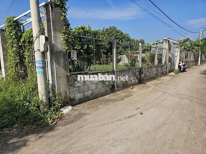 Đất sổ đỏ chính chủ 660m2 đường Kênh Cây Xanh, Bình Mỹ, H. Củ Chi
