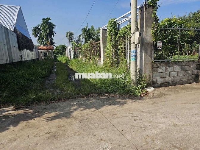 Đất sổ đỏ chính chủ 660m2 đường Kênh Cây Xanh, Bình Mỹ, H. Củ Chi
