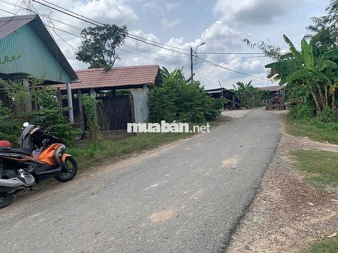 Chú tư bán lô đất 500m2 giá chỉ 750tr nằm ngay chợ Phước Thạnh Củ Chi