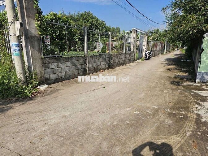 Đất sổ đỏ chính chủ 660m2 đường Kênh Cây Xanh, Bình Mỹ, H. Củ Chi