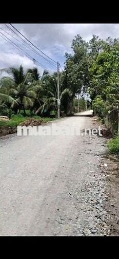 Đất 1000m2 mặt tiền 5 chiến hựu thạnh