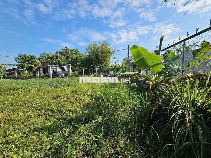 Đất sổ đỏ chính chủ 660m2 đường Kênh Cây Xanh, Bình Mỹ, H. Củ Chi