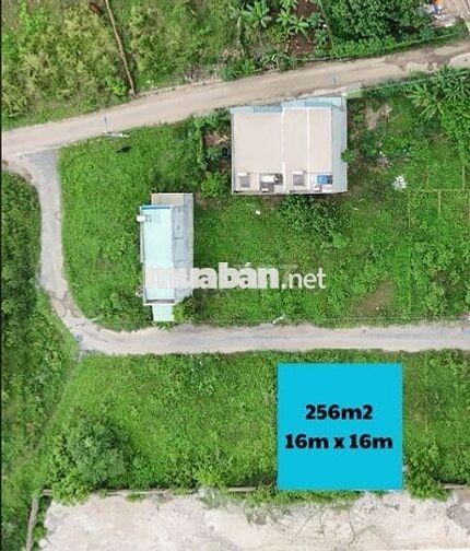 BÁN ĐẤT NỀN - PHƯỜNG PHƯỚC TÂN, TP. BIÊN HÒA, TỈNH ĐỒNG NAI