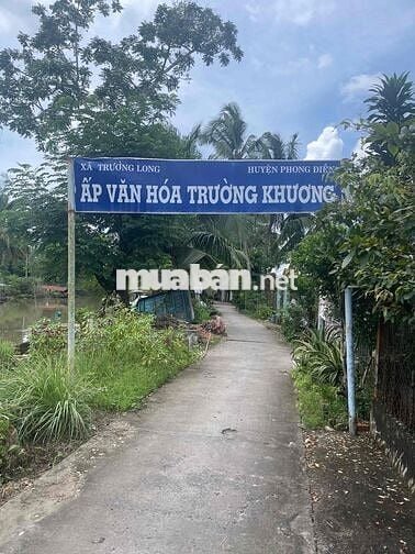 đất thổ cư cây cẩm phong điền chính chủ
