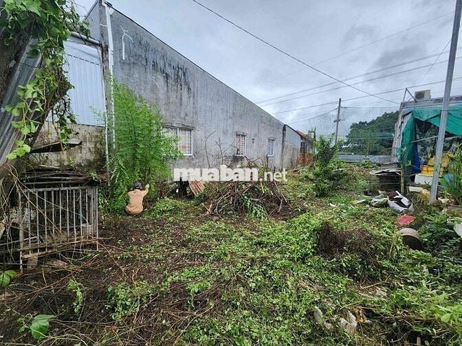 250m thổ cư kv4 an bình ninh kiều cần thơ giá 5 tỷ 500